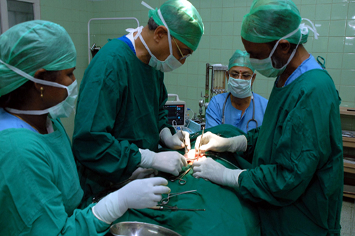 Css Template Preview